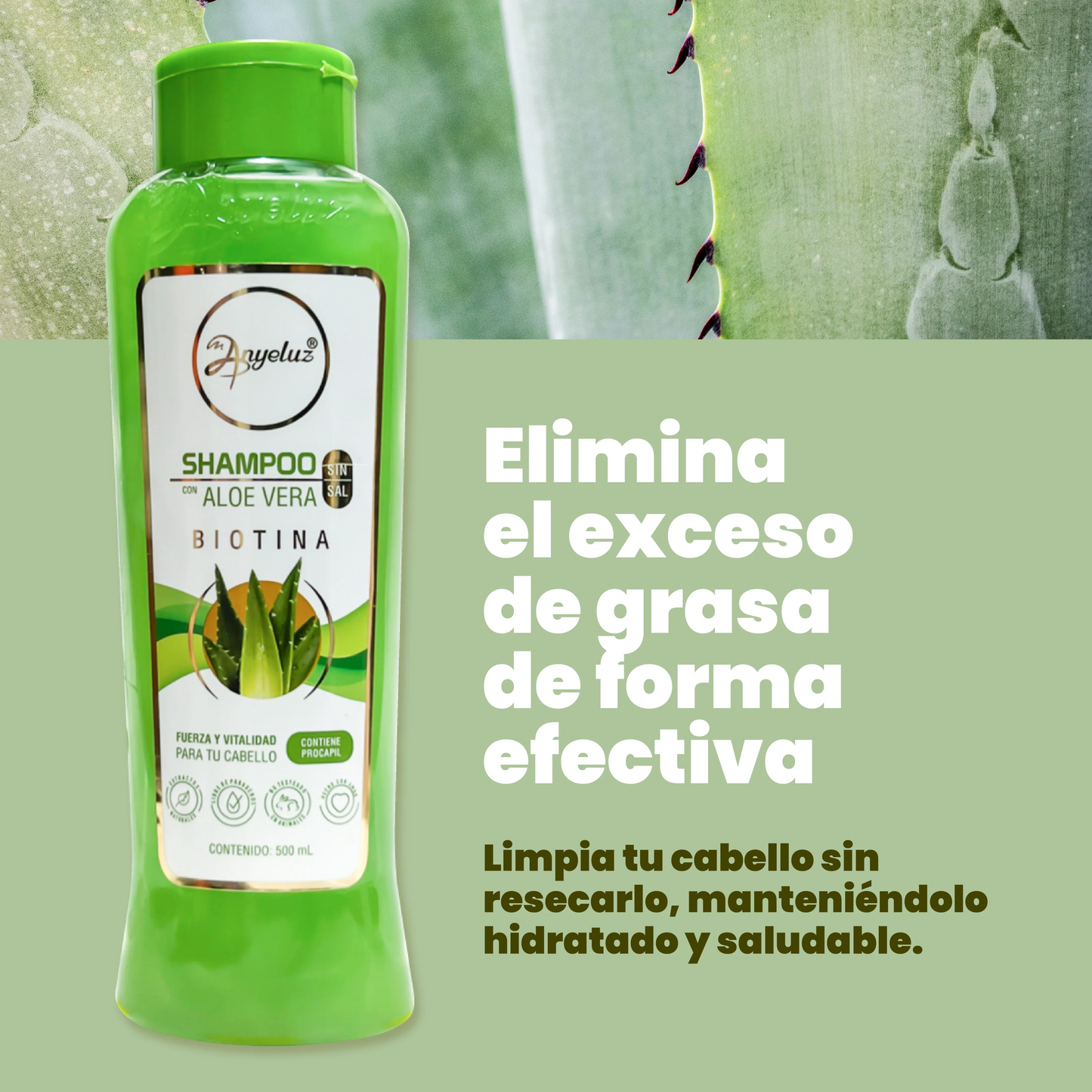 Shampoo con Aloe