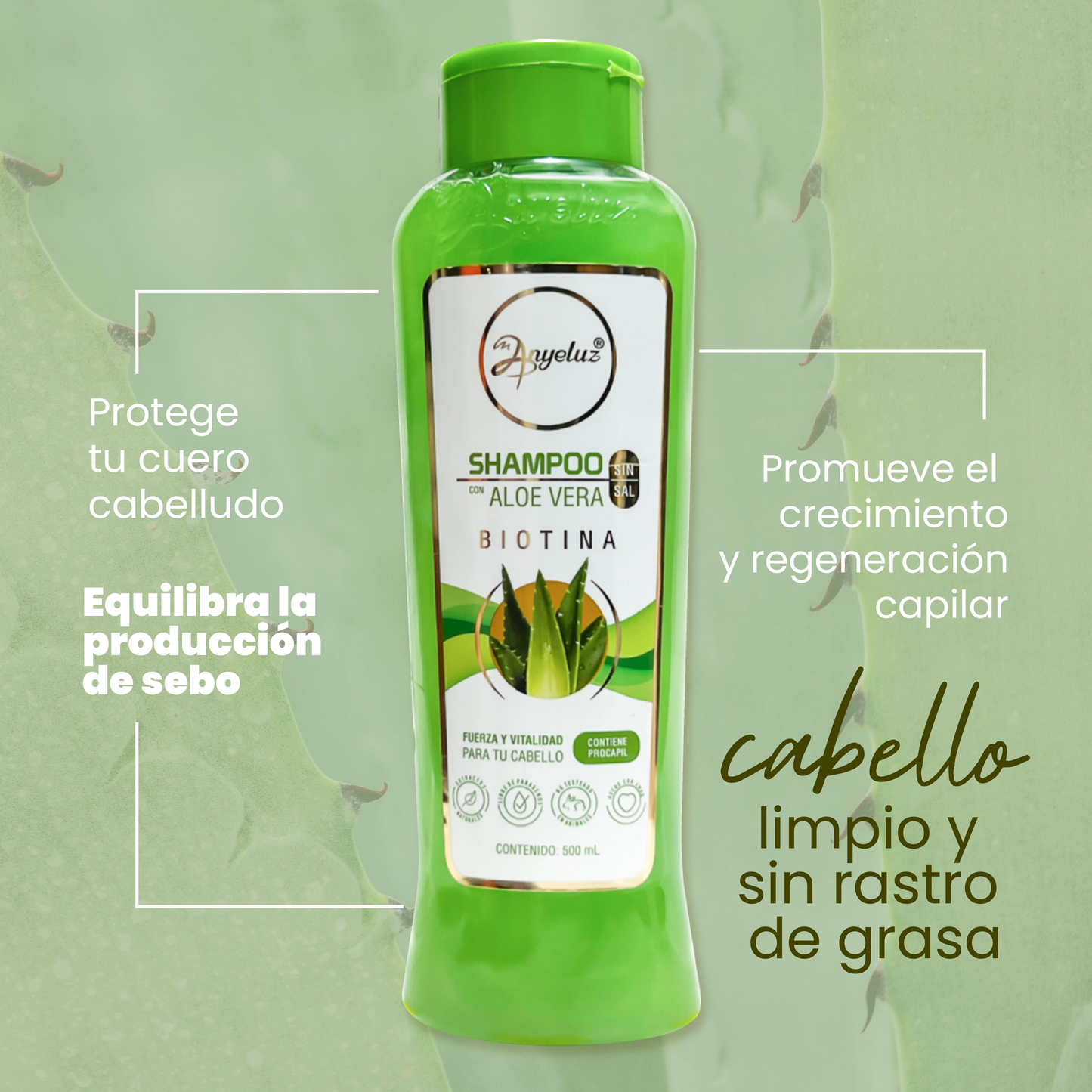 Shampoo con Aloe