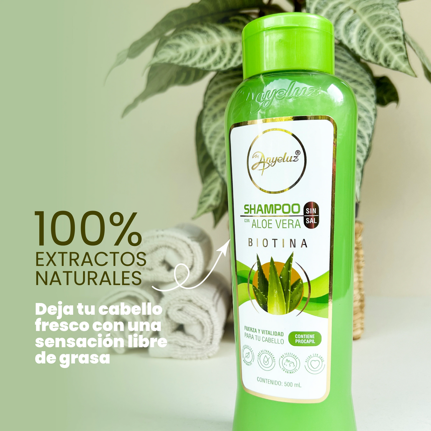 Shampoo con Aloe