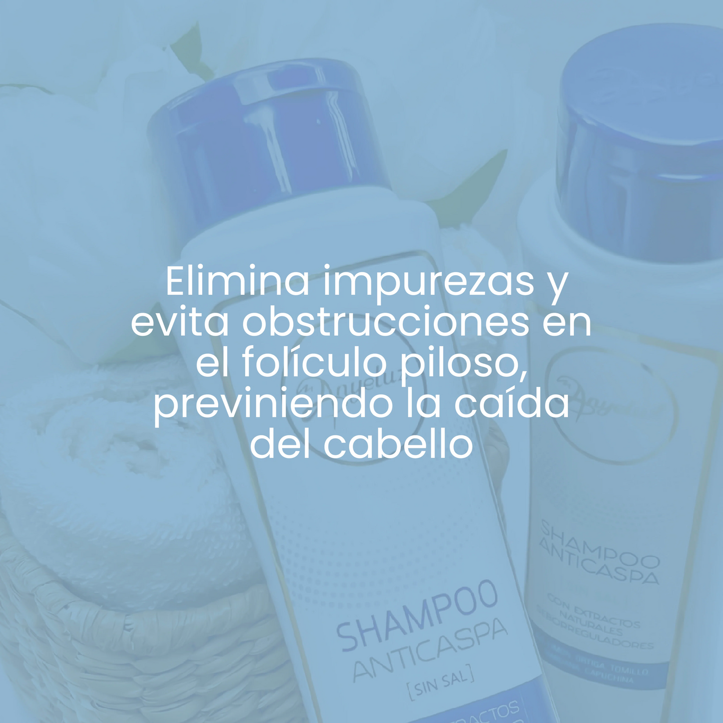 Shampoo anticaspa